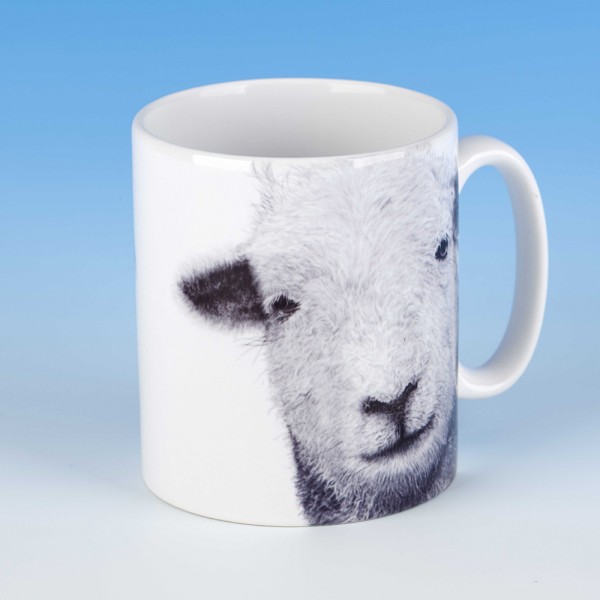 8102 Mug-Mark Charles-Sheep
